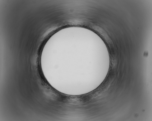 X0000101410583200808041106