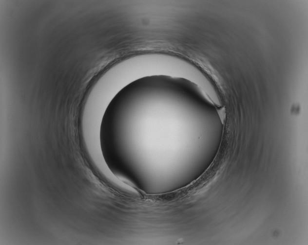 X0000101410585200808041106