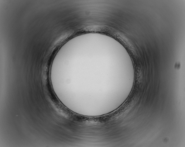 X0000101410586200808041106