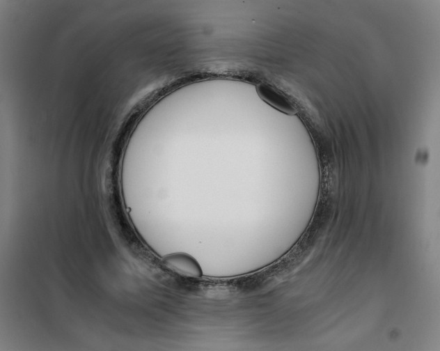 X0000101410587200808041106