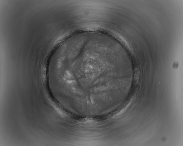 X0000101410589200808041106