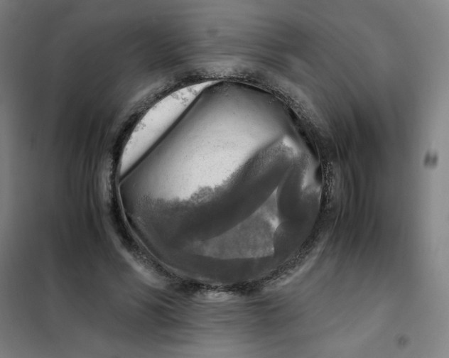 X0000101410590200808041106