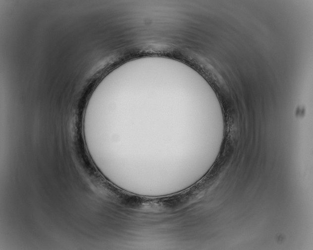 X0000101410591200808041106