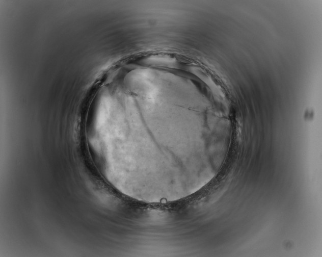 X0000101410592200808041106
