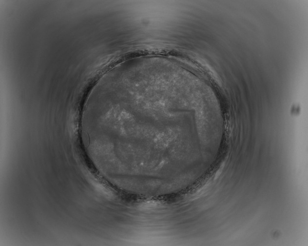 X0000101410593200808041106