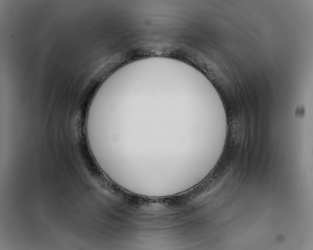 X0000101410594200808041106
