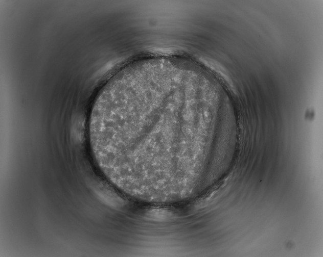 X0000101410596200808041106