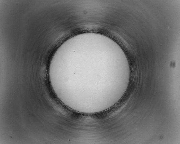 X0000101410597200808041106