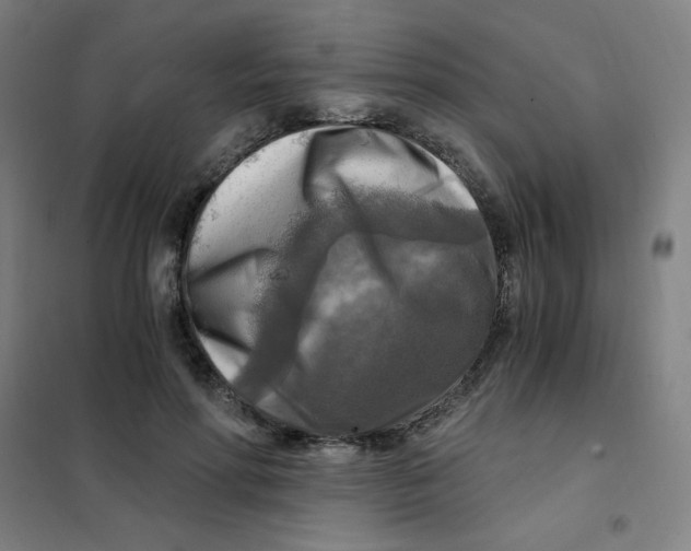 X0000101410598200808041106