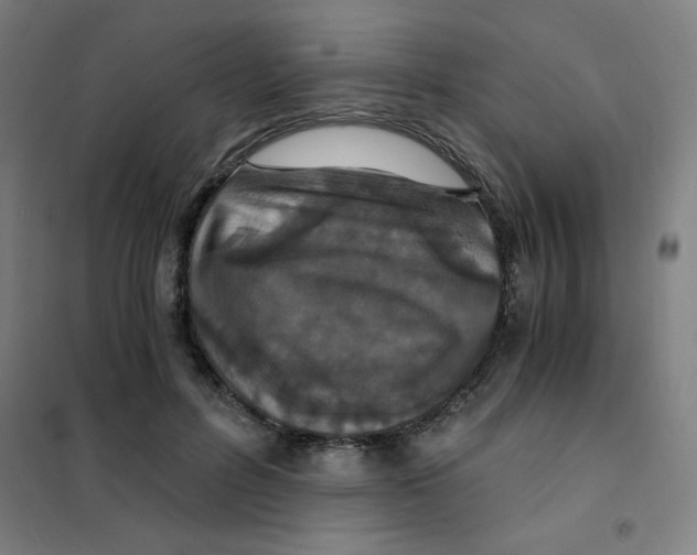 X0000101410600200808041106
