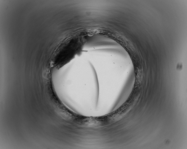 X0000101410601200808041106
