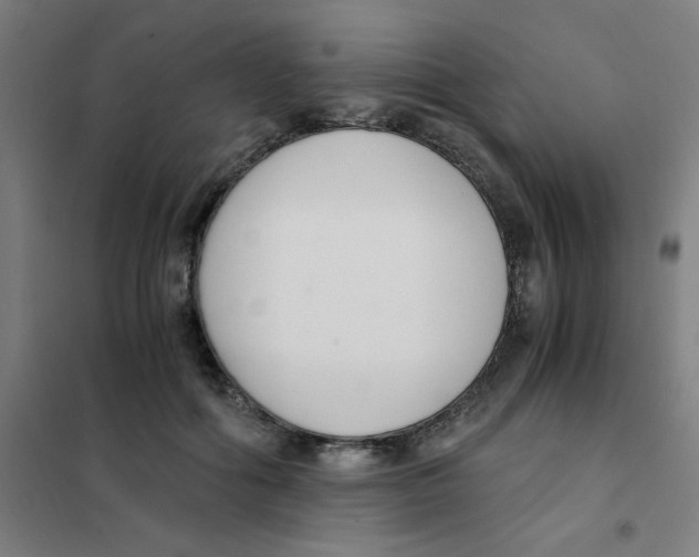 X0000101410602200808041106