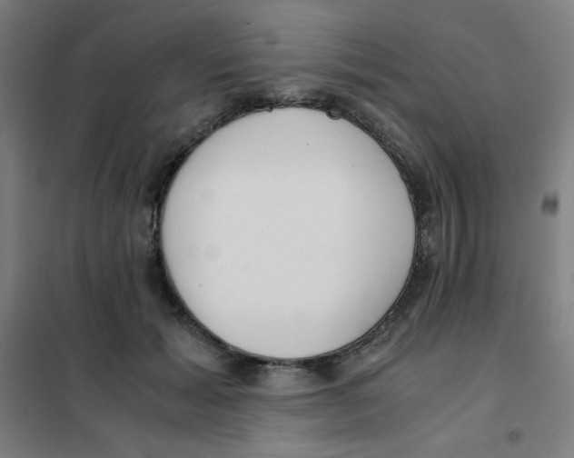 X0000101410605200808041106