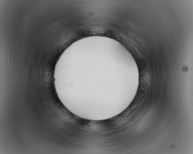 X0000101410608200808041106