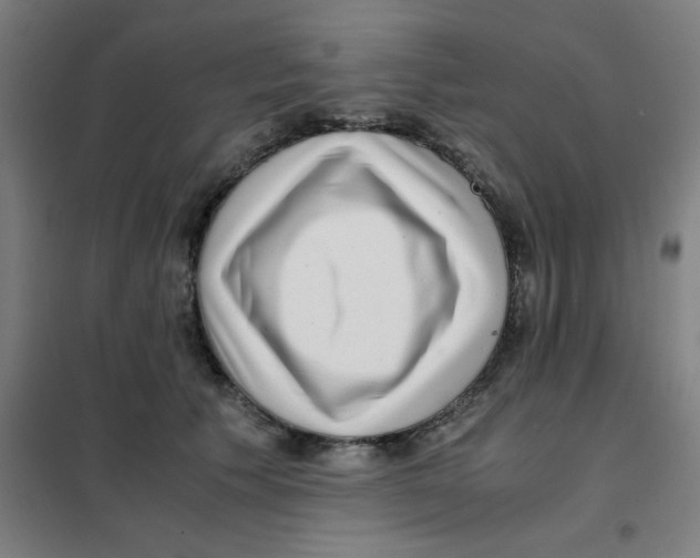 X0000101410609200808041106