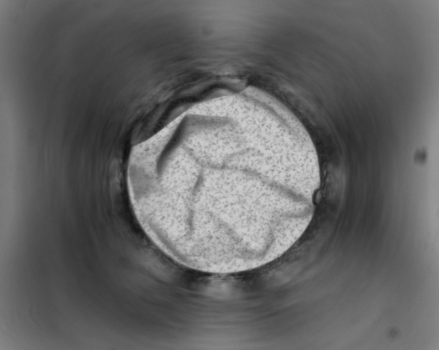 X0000101410612200808041106