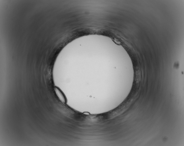 X0000101410613200808041106