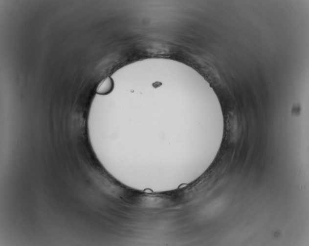 X0000101410614200808041106