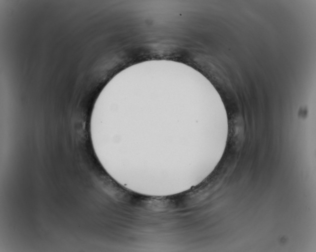 X0000101410615200808041106