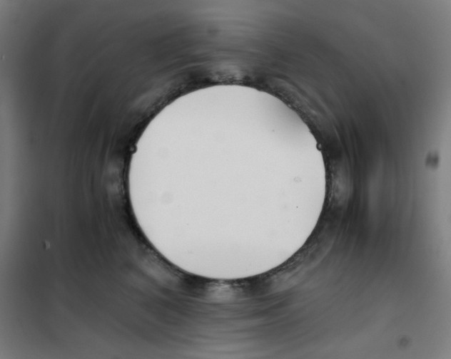 X0000101410616200808041106
