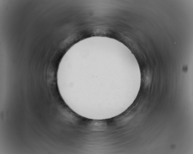 X0000101410619200808041106