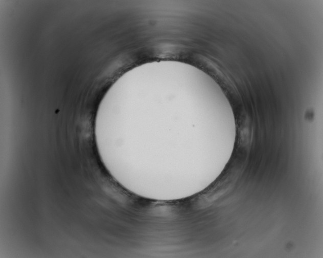 X0000101410620200808041106