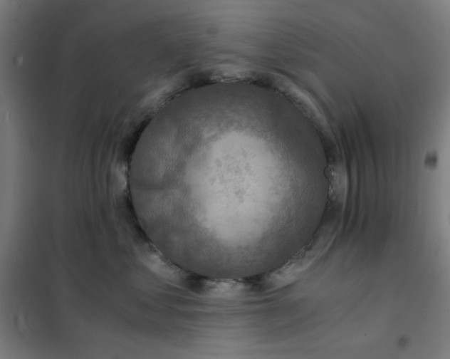 X0000101410621200808041106