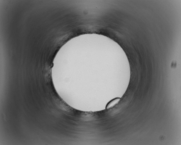 X0000101410624200808041106
