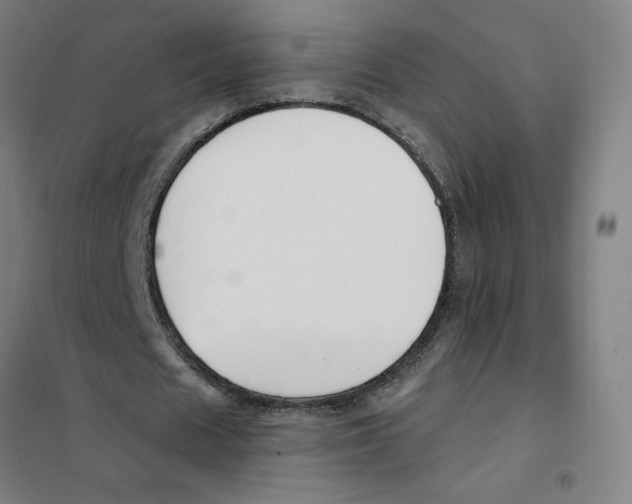 X0000101410625200808041105