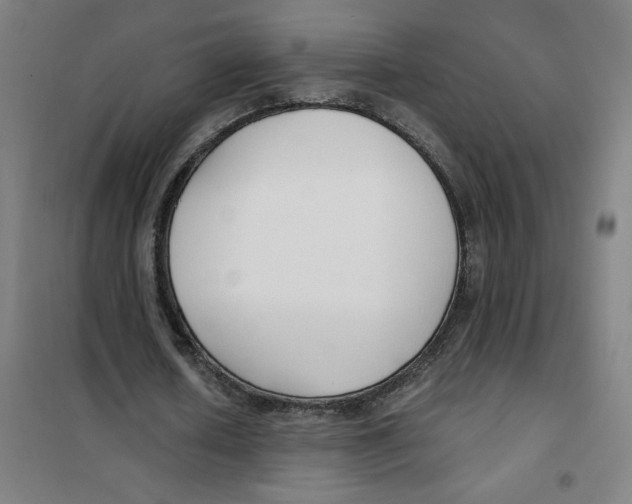 X0000101410626200808041105