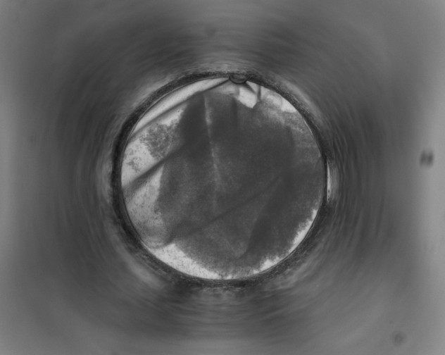 X0000101410627200808041105