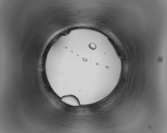 X0000101410628200808041105