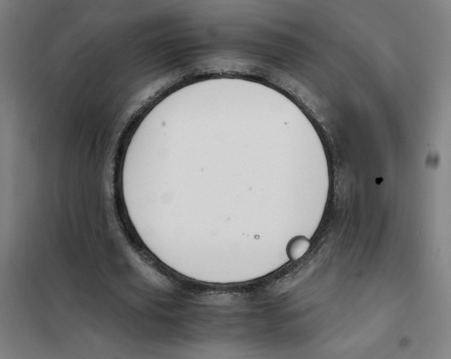 X0000101410629200808041105