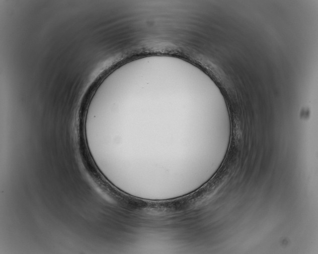X0000101410630200808041105
