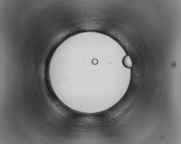 X0000101410631200808041105