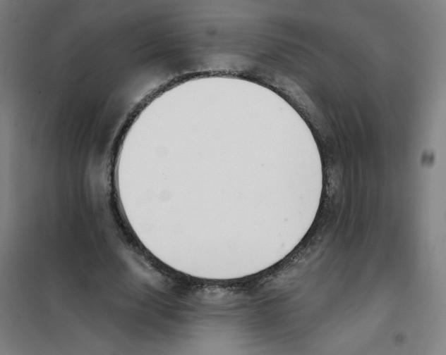 X0000101410632200808041105