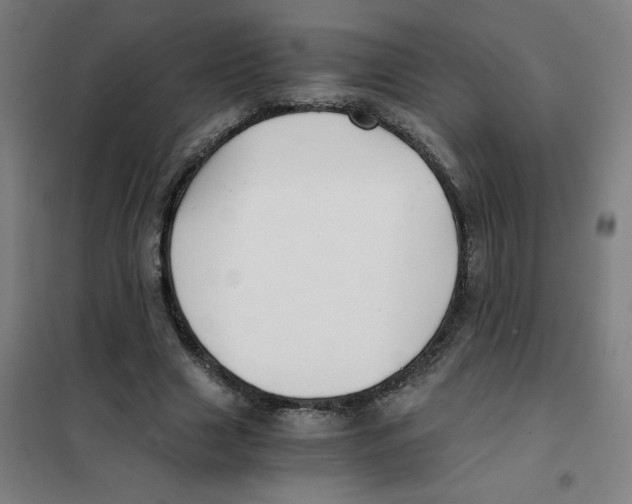 X0000101410633200808041105