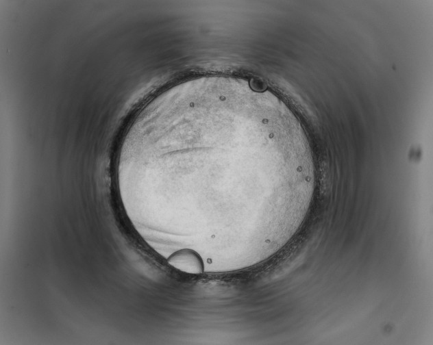 X0000101410634200808041105