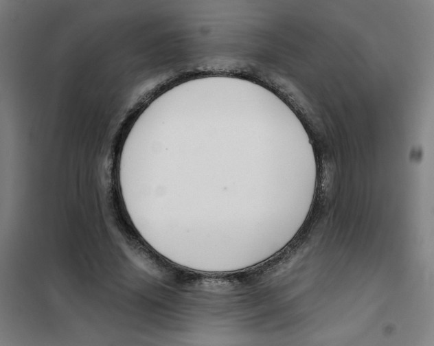X0000101410636200808041105