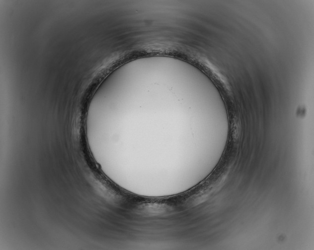 X0000101410637200808041105