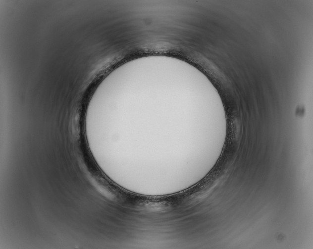 X0000101410638200808041105