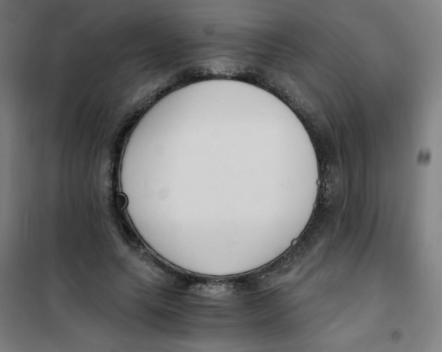 X0000101410639200808041105