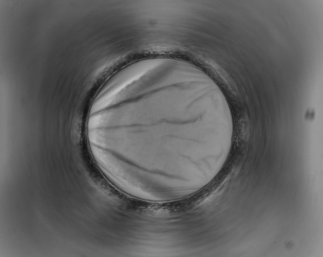 X0000101410640200808041105