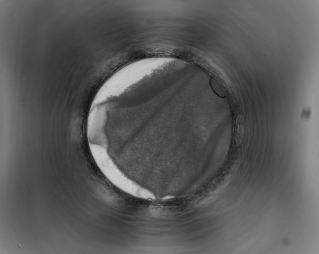 X0000101410641200808041105