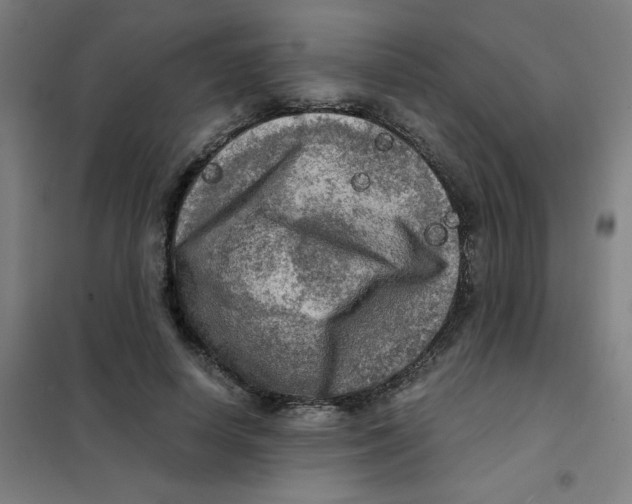 X0000101410642200808041105