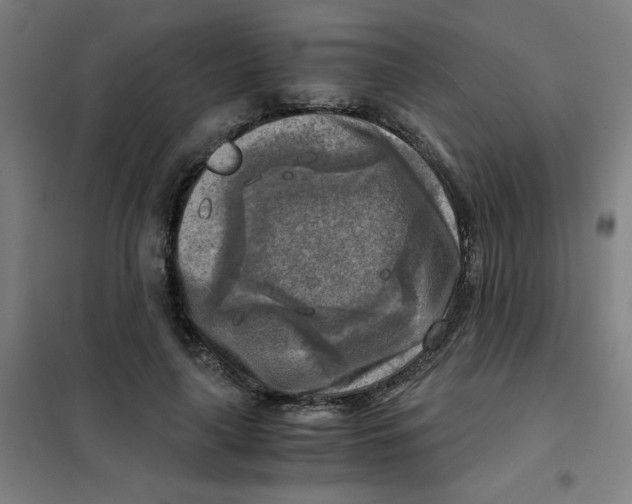 X0000101410643200808041105
