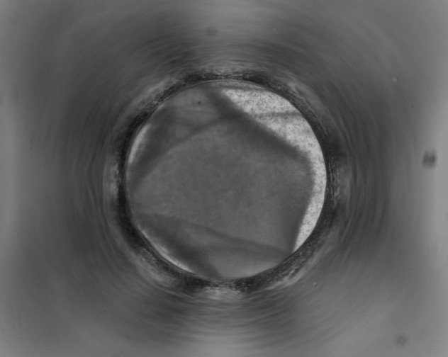 X0000101410644200808041105