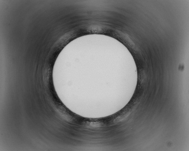 X0000101410645200808041105