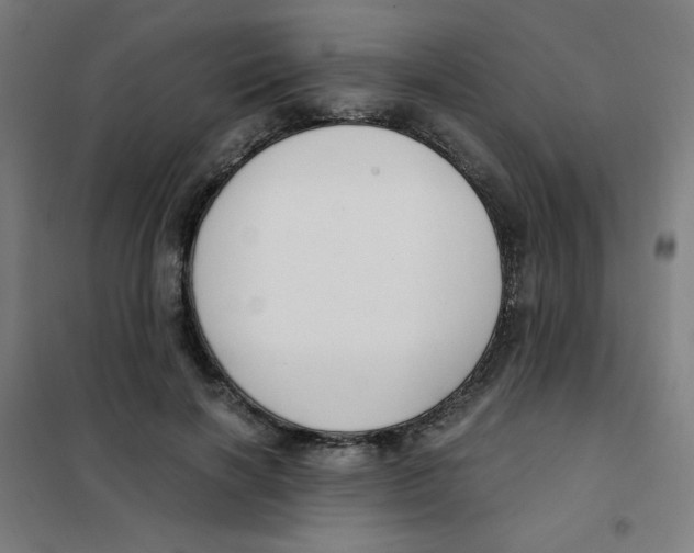 X0000101410646200808041105