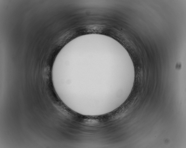 X0000101410649200808041105